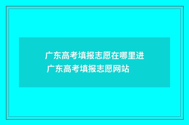 广东高考填报志愿在哪里进 广东高考填报志愿网站