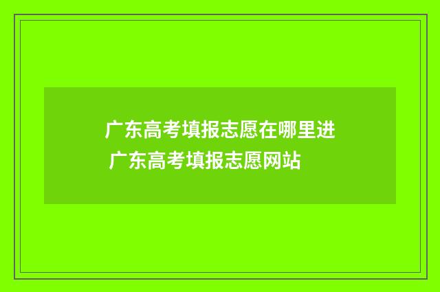 广东高考填报志愿在哪里进 广东高考填报志愿网站