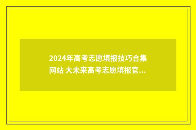 2024年高考志愿填报技巧合集网站 大未来高考志愿填报官网