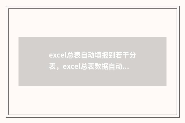 excel总表自动填报到若干分表，excel总表数据自动分发到子表  批量数据填充神器 表格自动填数据