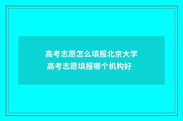 高考志愿怎么填报北京大学 高考志愿填报哪个机构好