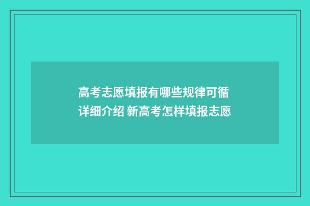 高考志愿填报有哪些规律可循 详细介绍 新高考怎样填报志愿