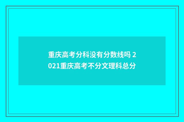 重庆高考分科没有分数线吗 2021重庆高考不分文理科总分