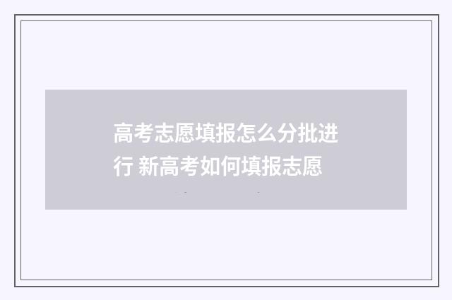 高考志愿填报怎么分批进行 新高考如何填报志愿