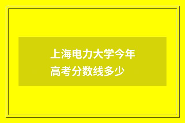 上海电力大学今年高考分数线多少