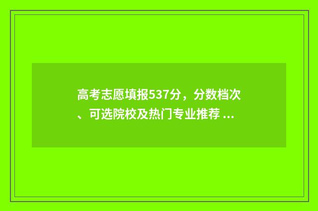 高考志愿填报537分，分数档次、可选院校及热门专业推荐 高考志愿填报533