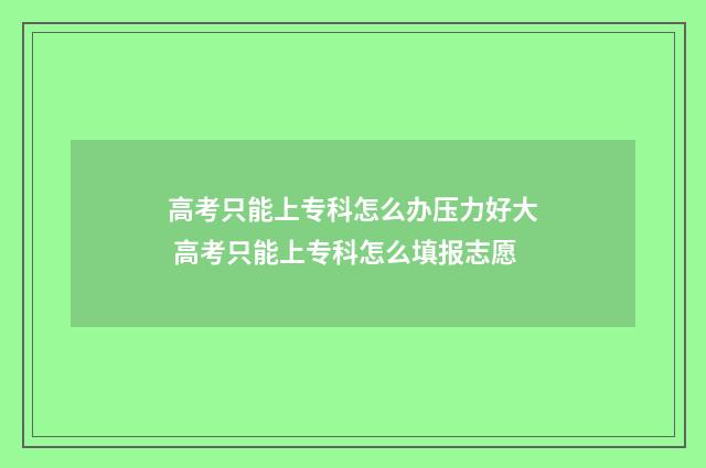 高考只能上专科怎么办压力好大 高考只能上专科怎么填报志愿