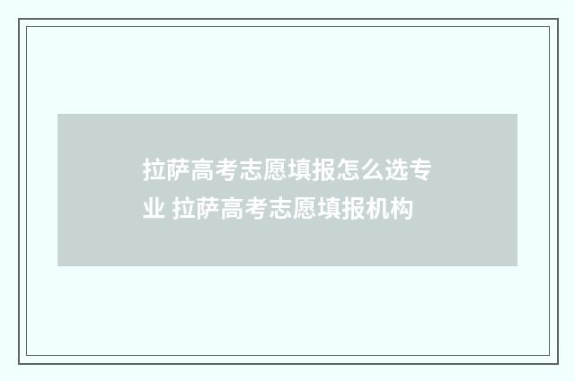 拉萨高考志愿填报怎么选专业 拉萨高考志愿填报机构