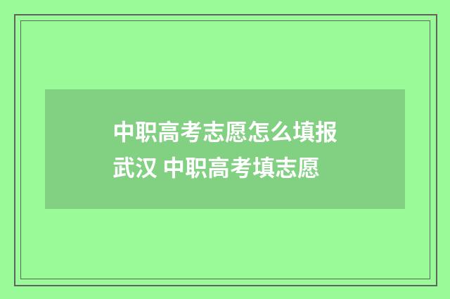 中职高考志愿怎么填报武汉 中职高考填志愿