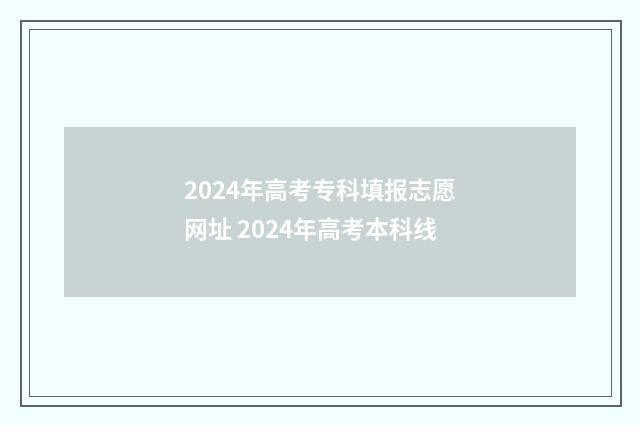 2024年高考专科填报志愿网址 2024年高考本科线