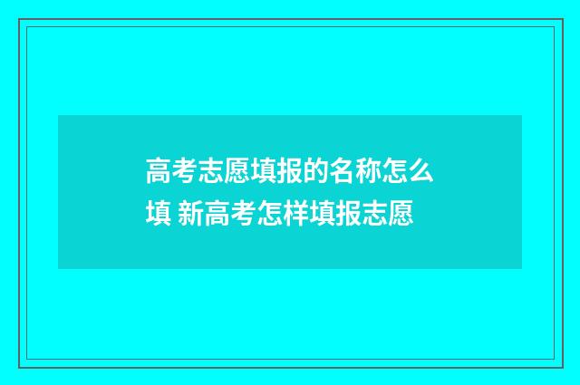 高考志愿填报的名称怎么填 新高考怎样填报志愿