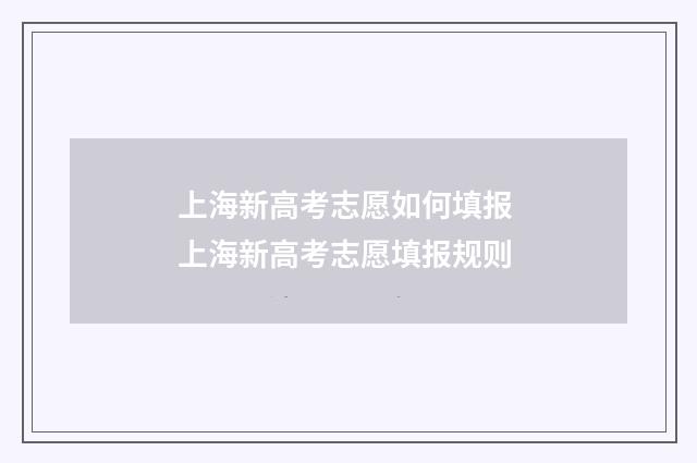 上海新高考志愿如何填报 上海新高考志愿填报规则