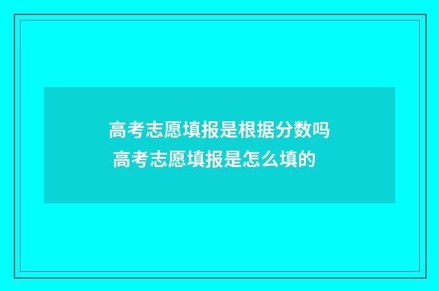 高考志愿填报是根据分数吗 高考志愿填报是怎么填的