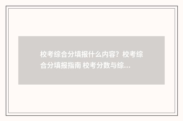 校考综合分填报什么内容？校考综合分填报指南 校考分数与综合分有关系吗
