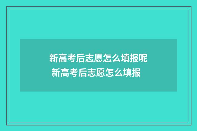新高考后志愿怎么填报呢 新高考后志愿怎么填报