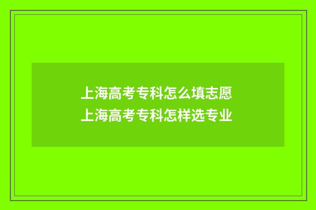 上海高考专科怎么填志愿 上海高考专科怎样选专业