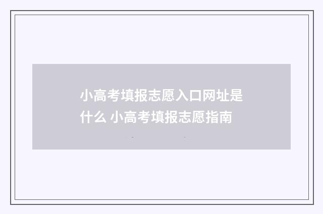 小高考填报志愿入口网址是什么 小高考填报志愿指南