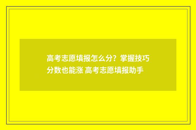 高考志愿填报怎么分？掌握技巧分数也能涨 高考志愿填报助手
