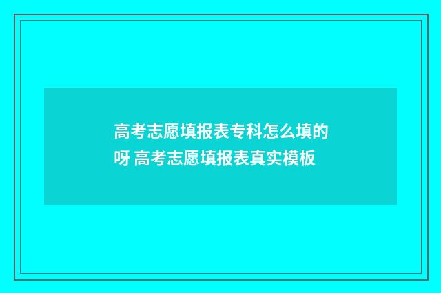 高考志愿填报表专科怎么填的呀 高考志愿填报表真实模板