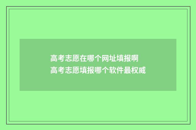 高考志愿在哪个网址填报啊 高考志愿填报哪个软件最权威