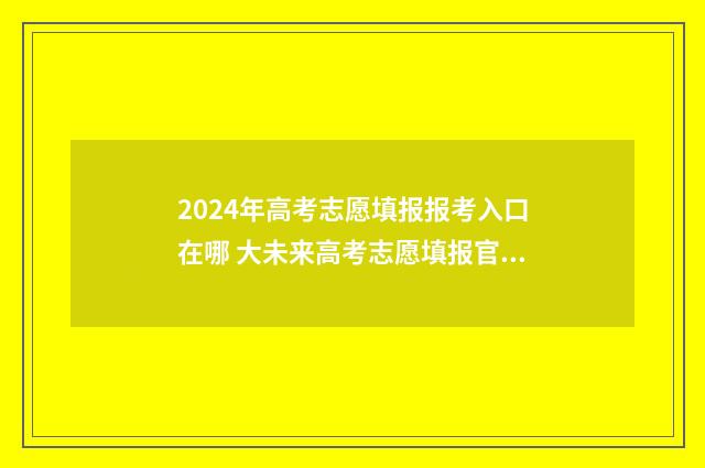 2024年高考志愿填报报考入口在哪 大未来高考志愿填报官网