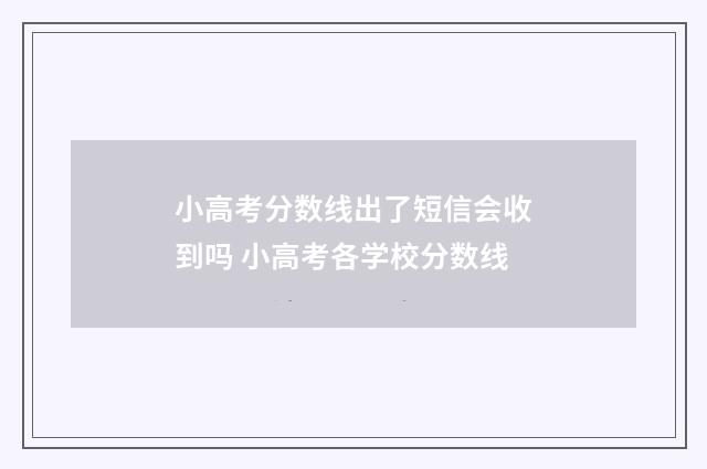 小高考分数线出了短信会收到吗 小高考各学校分数线
