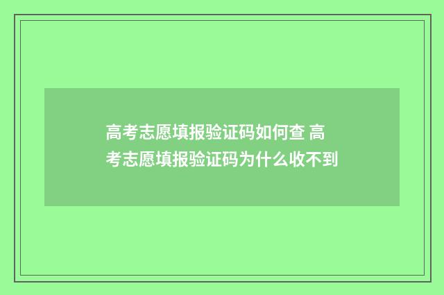 高考志愿填报验证码如何查 高考志愿填报验证码为什么收不到