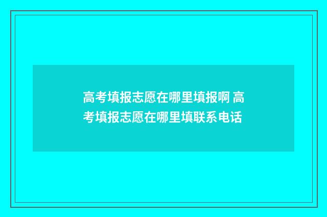 高考填报志愿在哪里填报啊 高考填报志愿在哪里填联系电话