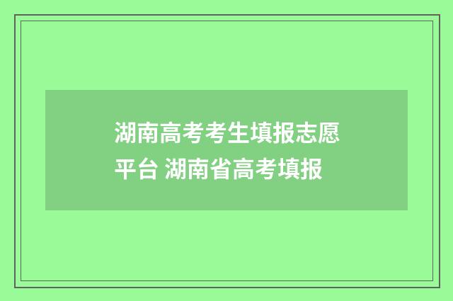 湖南高考考生填报志愿平台 湖南省高考填报