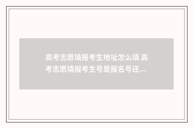 高考志愿填报考生地址怎么填 高考志愿填报考生号是报名号还是准考证号