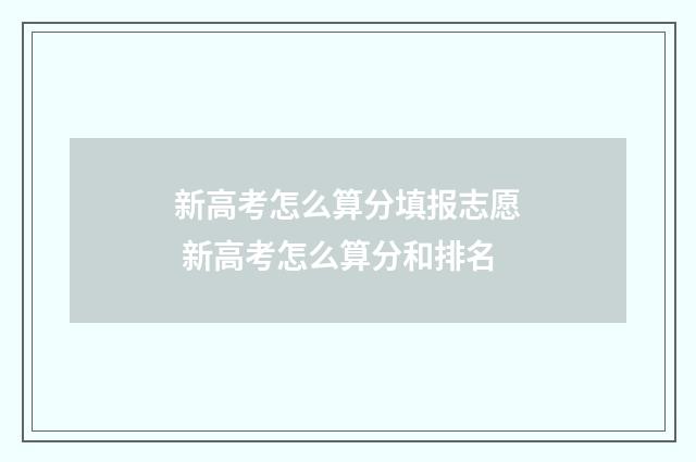 新高考怎么算分填报志愿 新高考怎么算分和排名