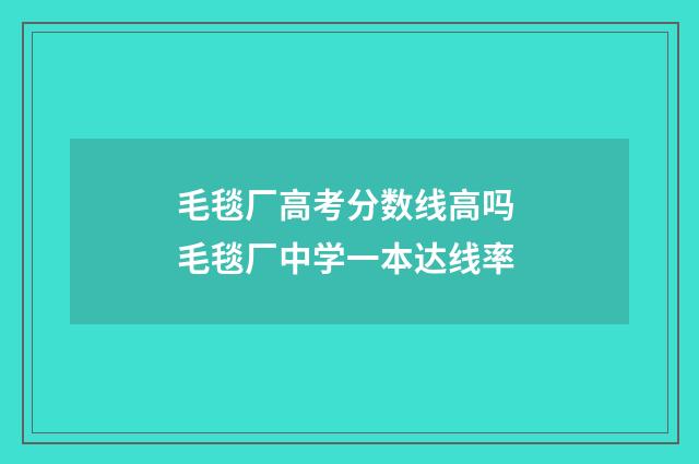 毛毯厂高考分数线高吗 毛毯厂中学一本达线率