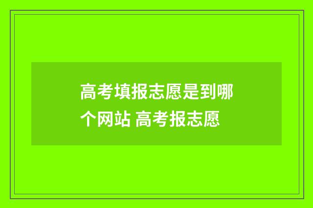 高考填报志愿是到哪个网站 高考报志愿