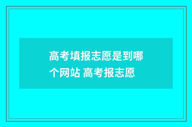 高考填报志愿是到哪个网站 高考报志愿