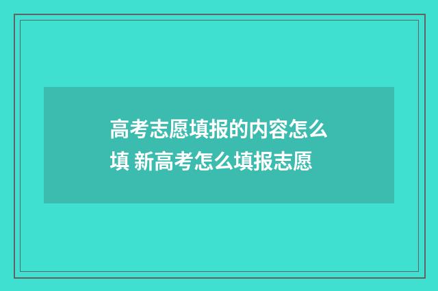 高考志愿填报的内容怎么填 新高考怎么填报志愿