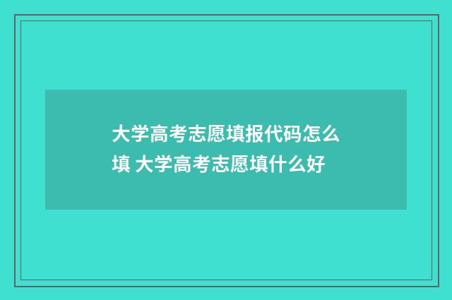 大学高考志愿填报代码怎么填 大学高考志愿填什么好