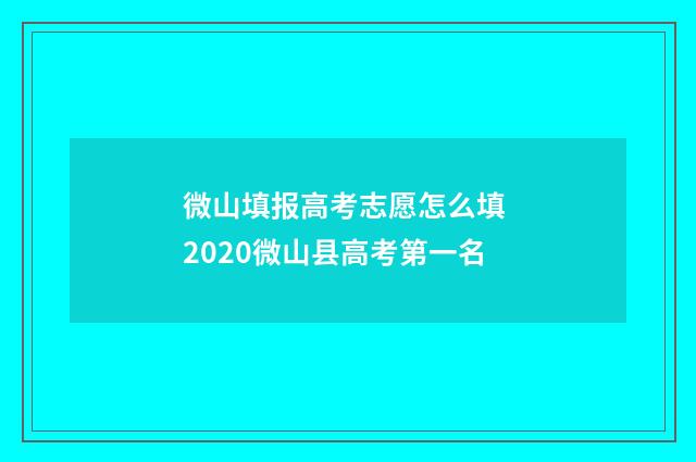 微山填报高考志愿怎么填 2020微山县高考第一名