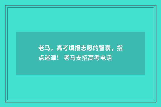 老马，高考填报志愿的智囊，指点迷津！ 老马支招高考电话