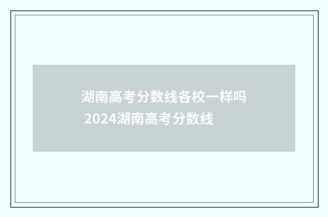 湖南高考分数线各校一样吗 2024湖南高考分数线
