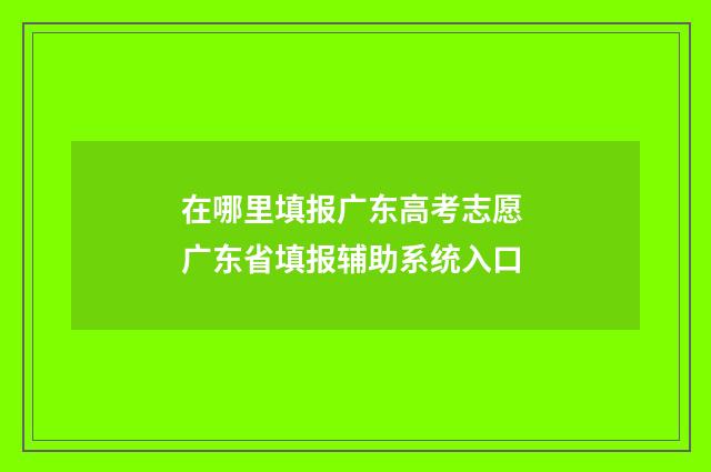 在哪里填报广东高考志愿 广东省填报辅助系统入口