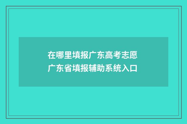在哪里填报广东高考志愿 广东省填报辅助系统入口