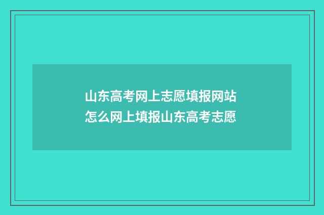 山东高考网上志愿填报网站 怎么网上填报山东高考志愿