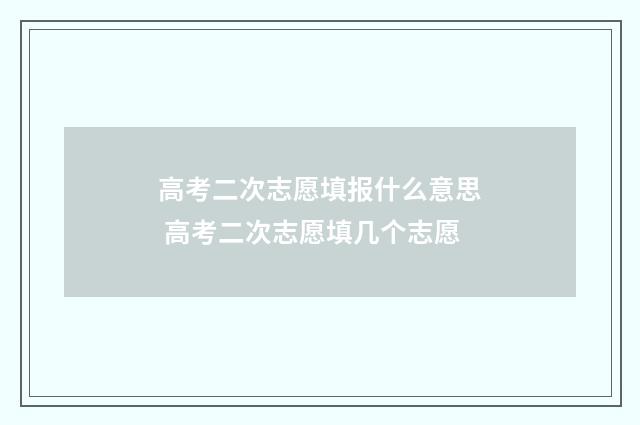高考二次志愿填报什么意思 高考二次志愿填几个志愿