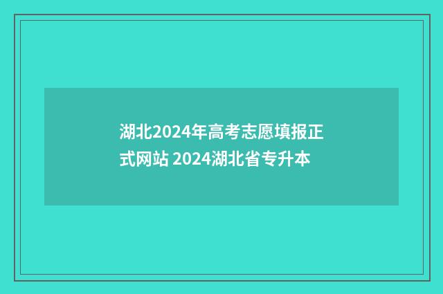 湖北2024年高考志愿填报正式网站 2024湖北省专升本