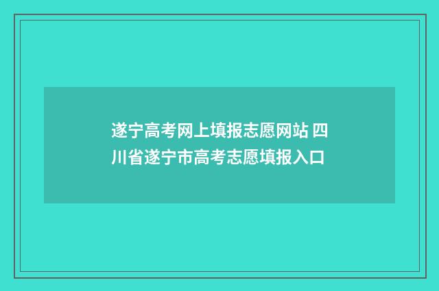 遂宁高考网上填报志愿网站 四川省遂宁市高考志愿填报入口