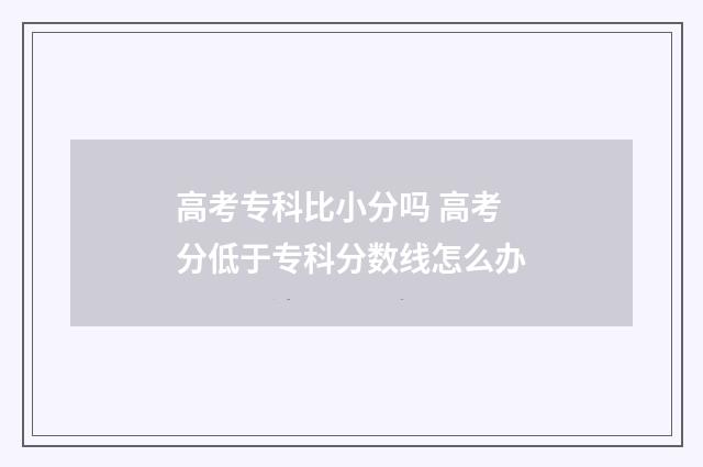 高考专科比小分吗 高考分低于专科分数线怎么办