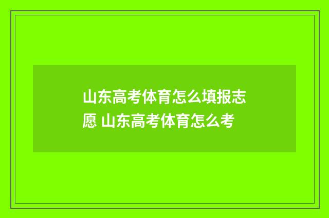山东高考体育怎么填报志愿 山东高考体育怎么考
