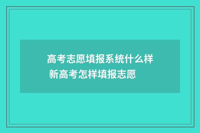 高考志愿填报系统什么样 新高考怎样填报志愿