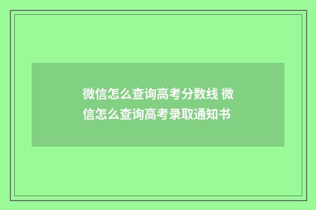 微信怎么查询高考分数线 微信怎么查询高考录取通知书