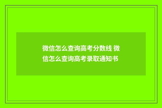 微信怎么查询高考分数线 微信怎么查询高考录取通知书